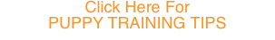 Click Here For 